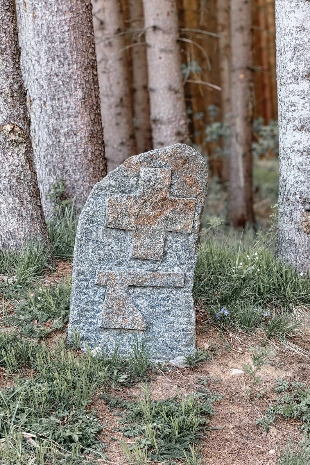 Boundary marker on rock at forest by artush