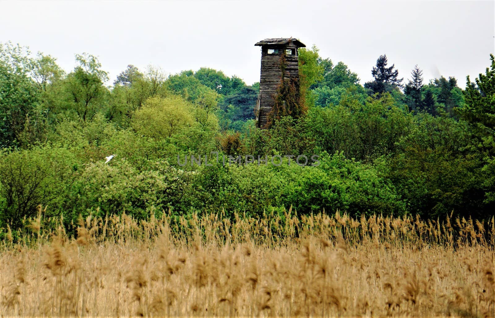 Hide seat in the nature reserve Wagbachniederung