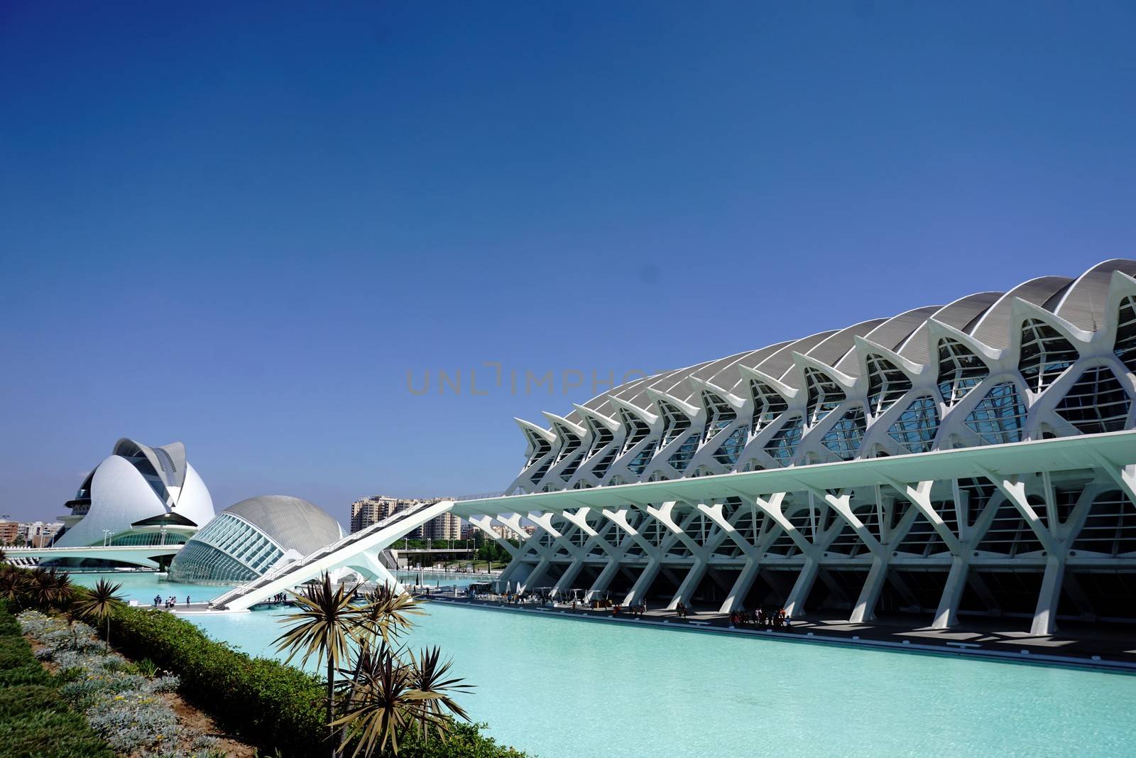 View over the City of Arts and Sciences, Valencia Spain by pisces2386