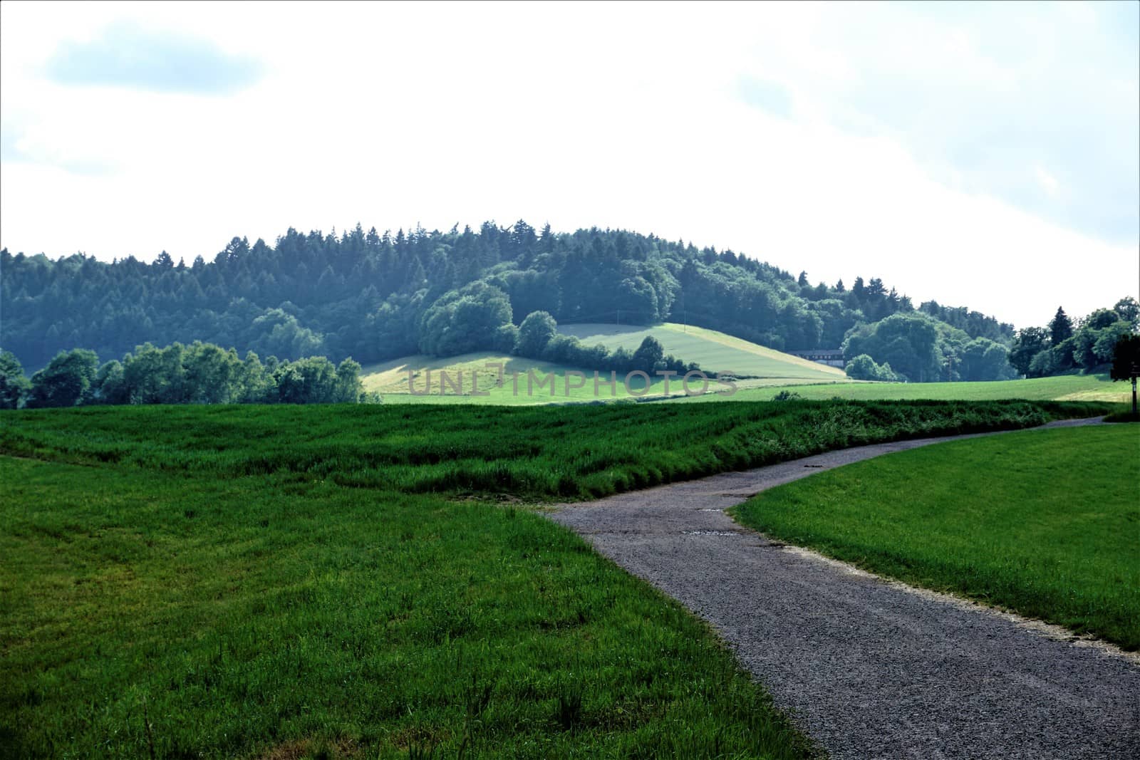 Agricultural road with view to a hill in Weinheim Oberflockenbach by pisces2386