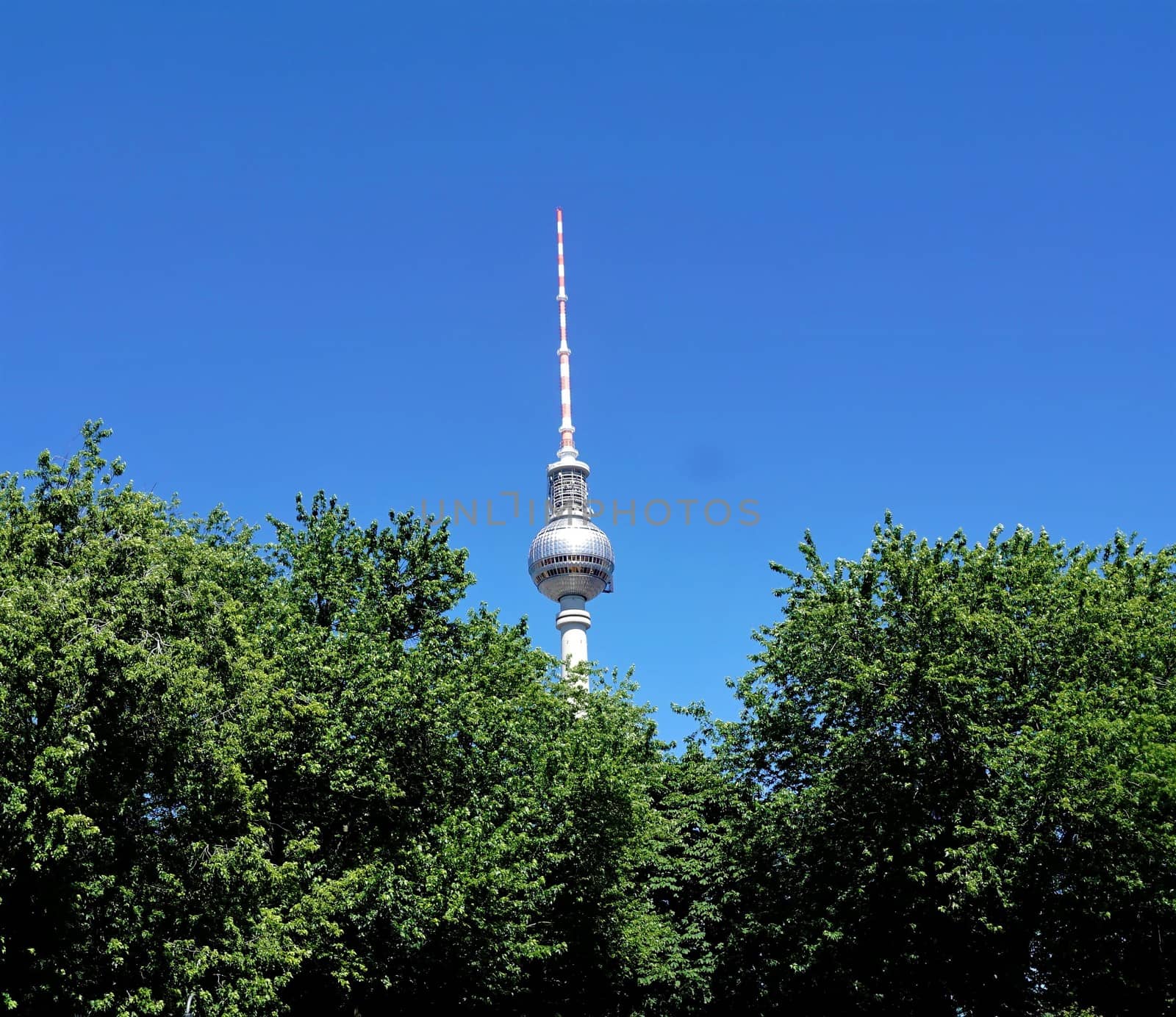 Berlin television tower behind trees and in front of blue sky
