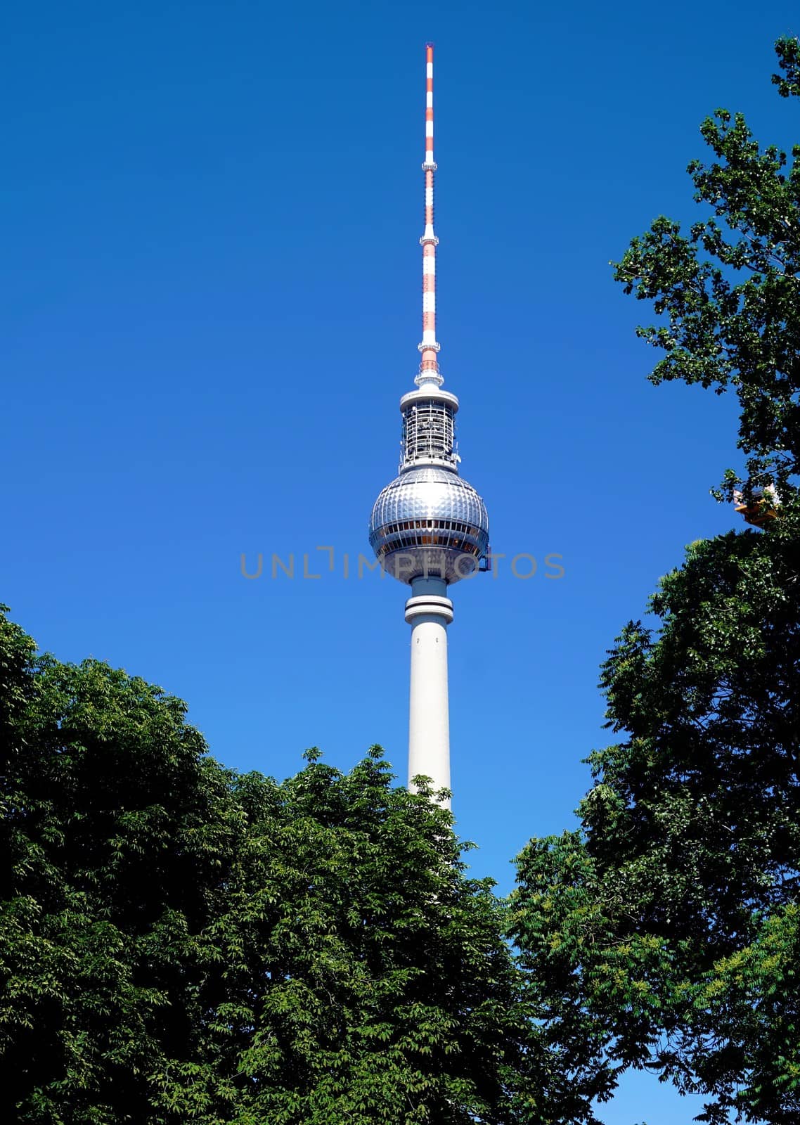 Berlin Fernsehturm in front of blue sky behind trees by pisces2386