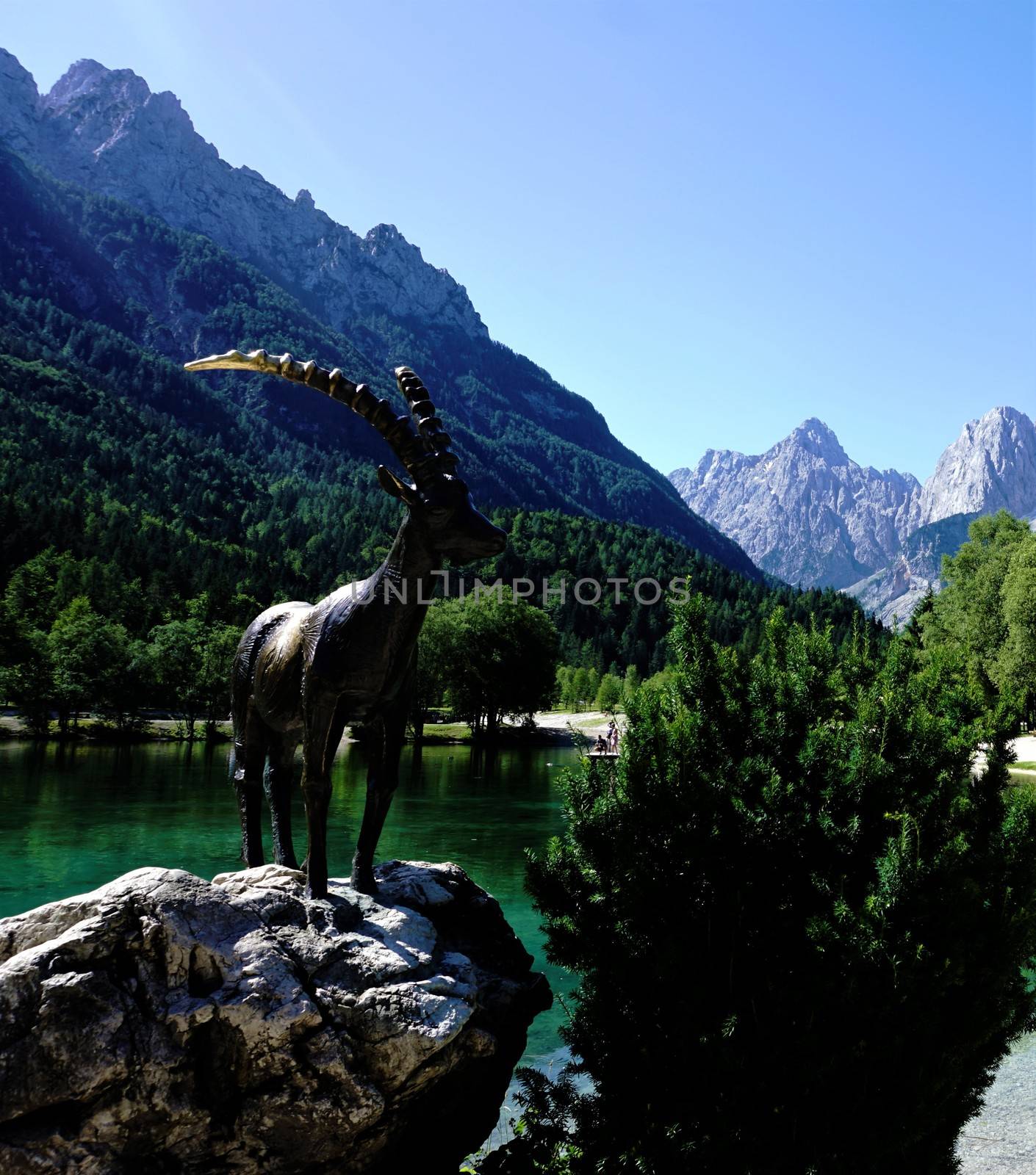 Ibex of Jasna Lake in Kranjska Gora by pisces2386