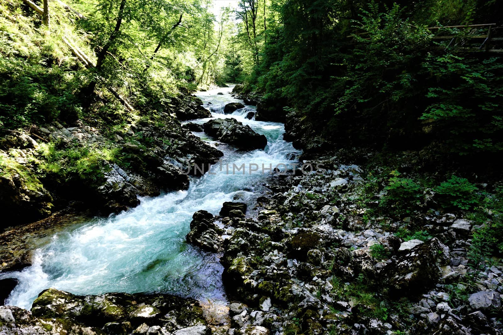 Wild radovna river and rocks in the Vintgar Gorge, Slovenia