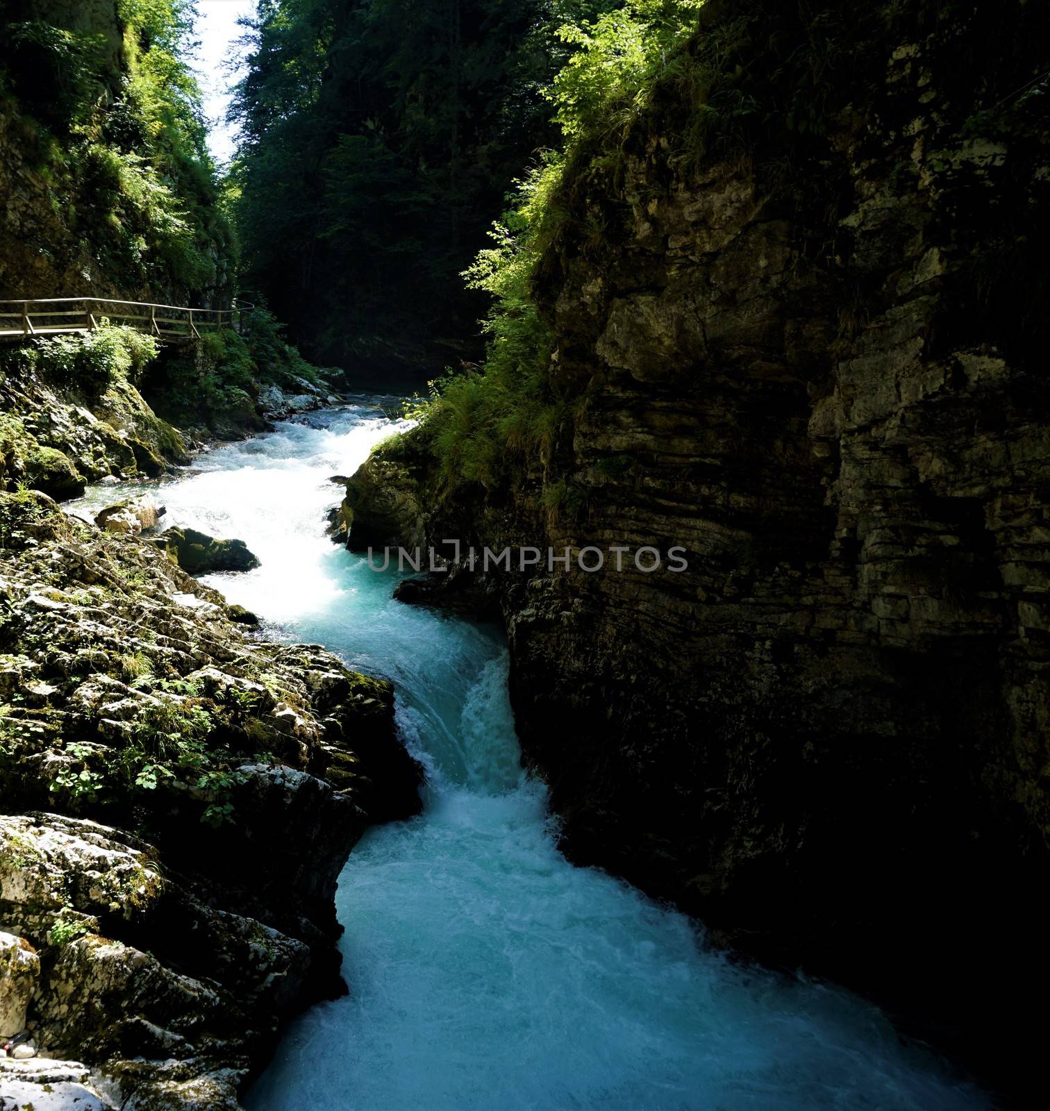 Small Radovna waterfall in Vintgar Gorge, Slovenia