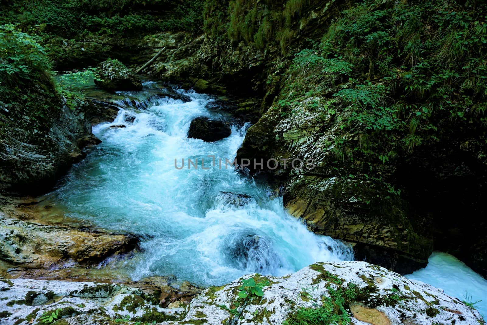Turquoise rapids of Radovna river in Vintgar Gorge by pisces2386
