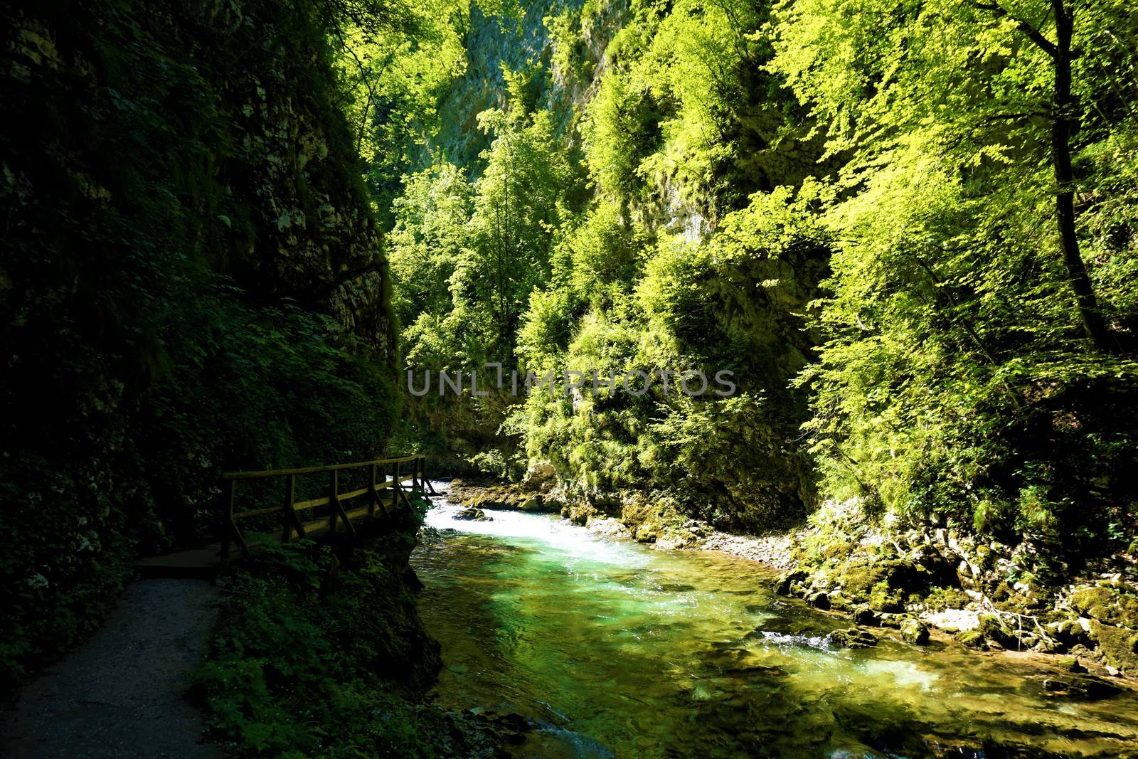 Vintgar Gorge radovna river and trees in Podhom, Slovenia