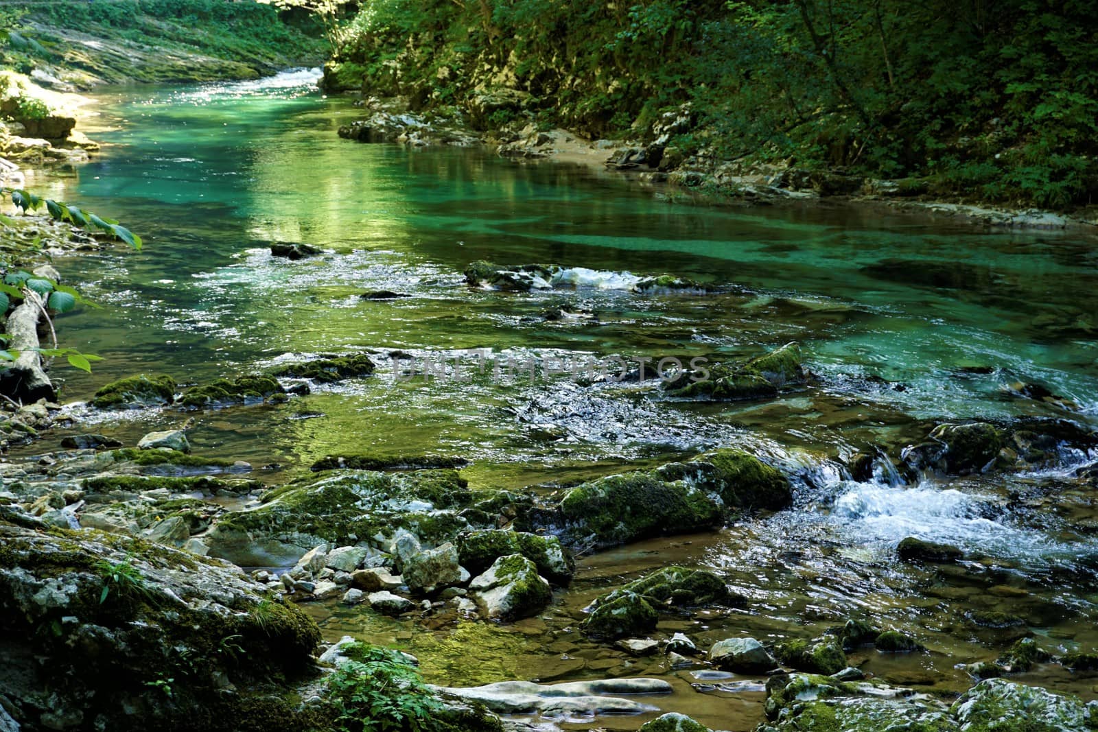 Pure and fresh Radovna river in Podhom, Slovenia