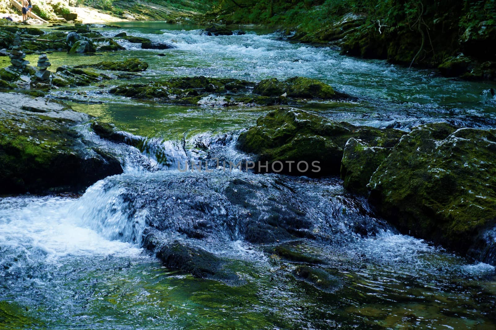 Mossy rocks in the Radovna river near Podhom, Slovenia
