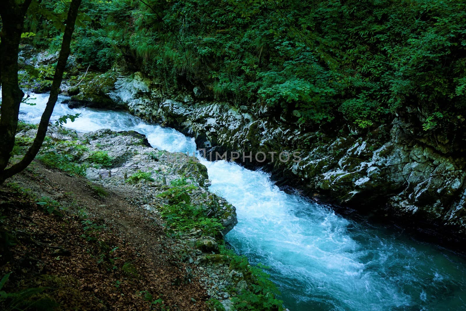 Radovna river in the Vintgar Gorge, Podhom near Bled by pisces2386