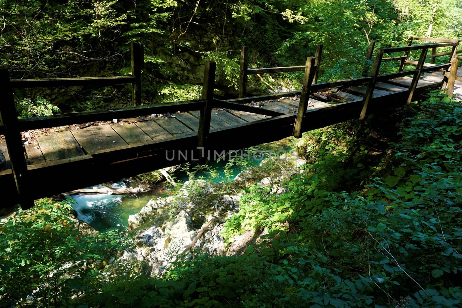 Wooden bridge over the Vintgar Gorge by pisces2386