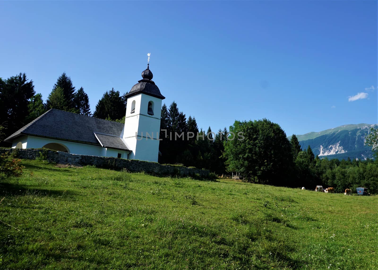 Cercev Sv Katarina in Zasip near Bled, Slovenia