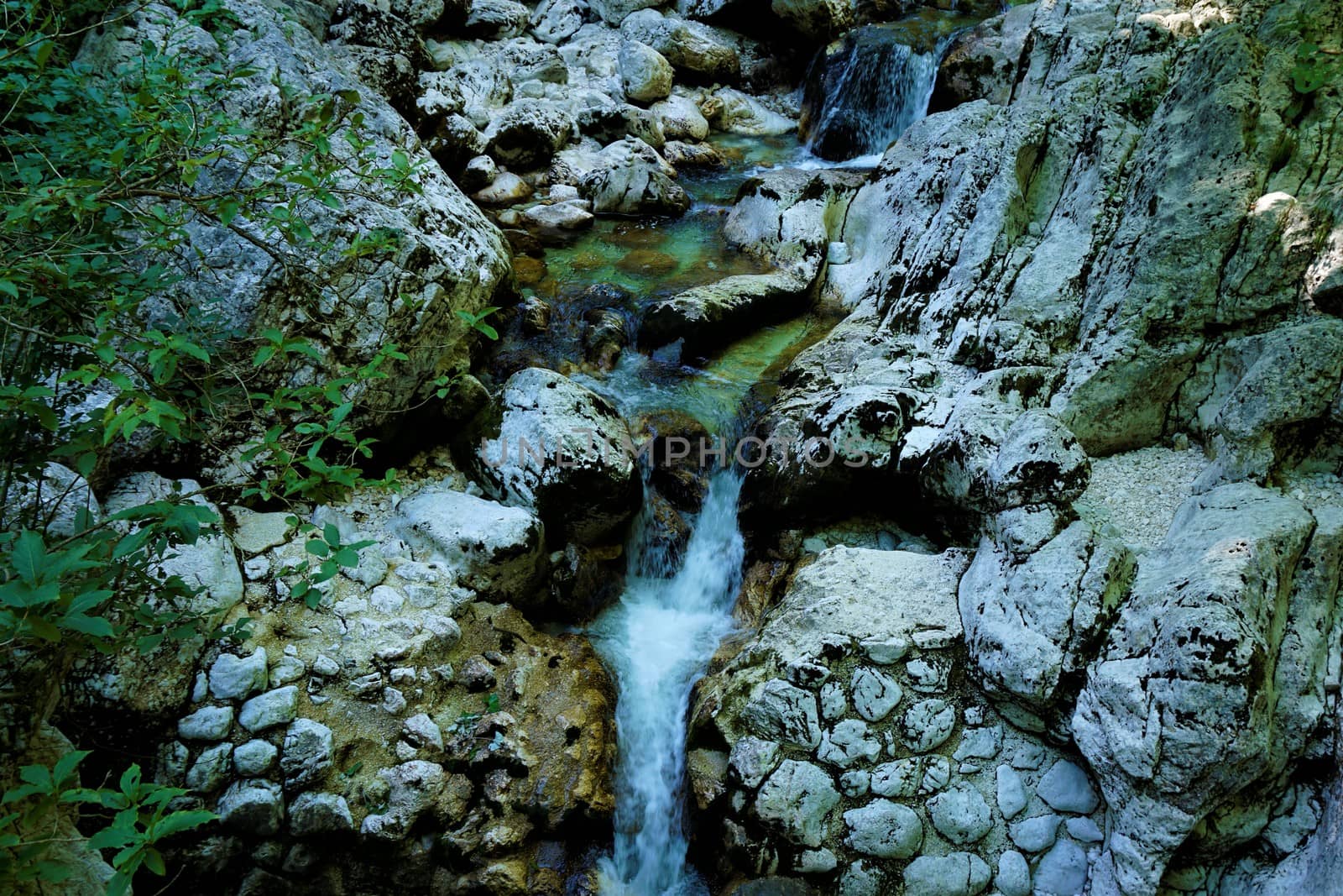 Savica near the Savica falls in Slovenia