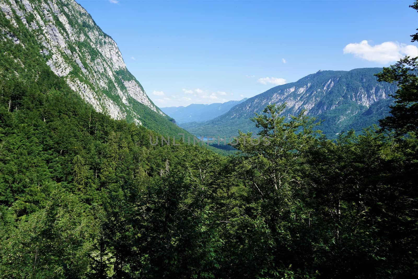 View over forest to Vogel mountain and Lake Bohinj by pisces2386