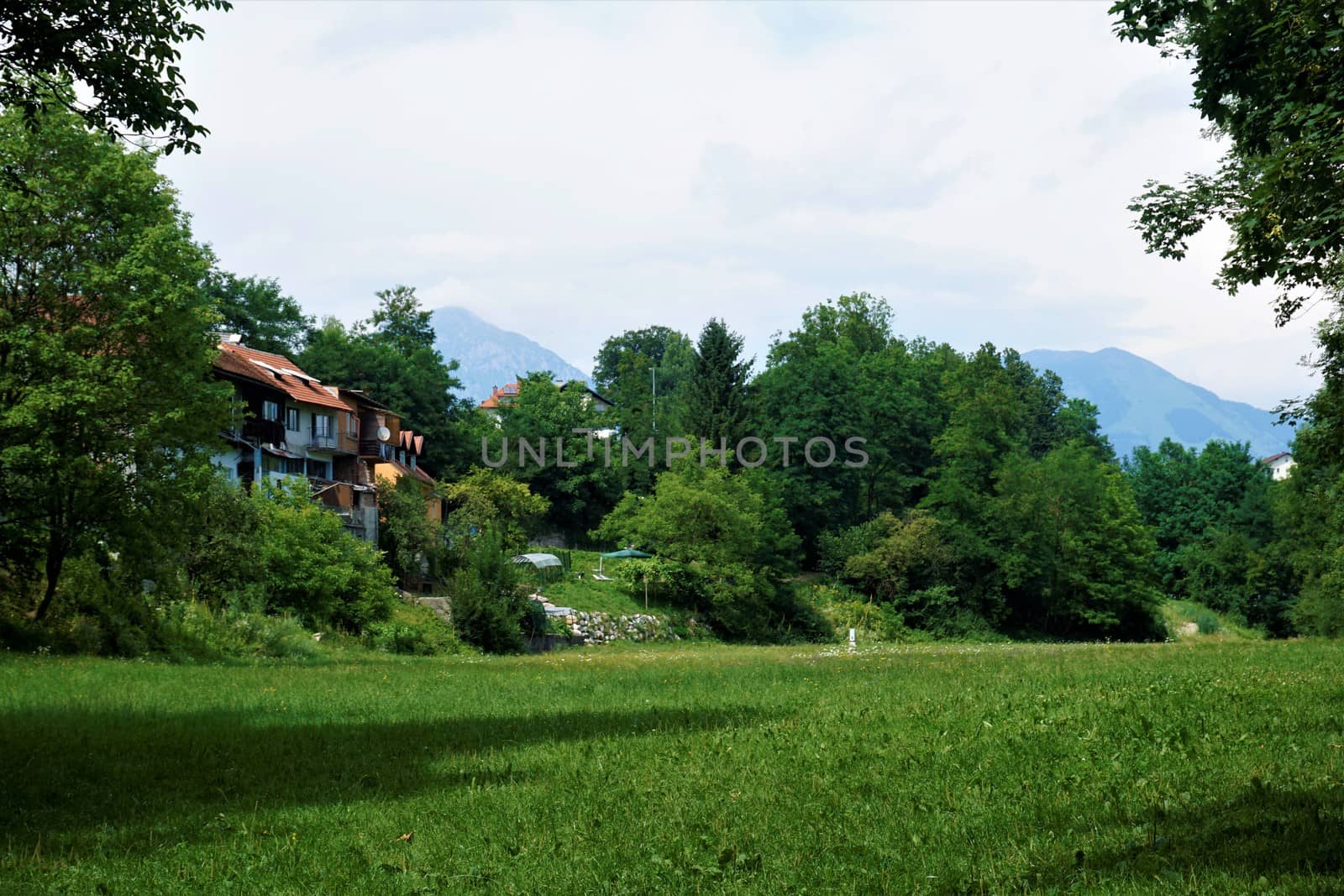 Idyllic meadow close to city centre of Kranj by pisces2386