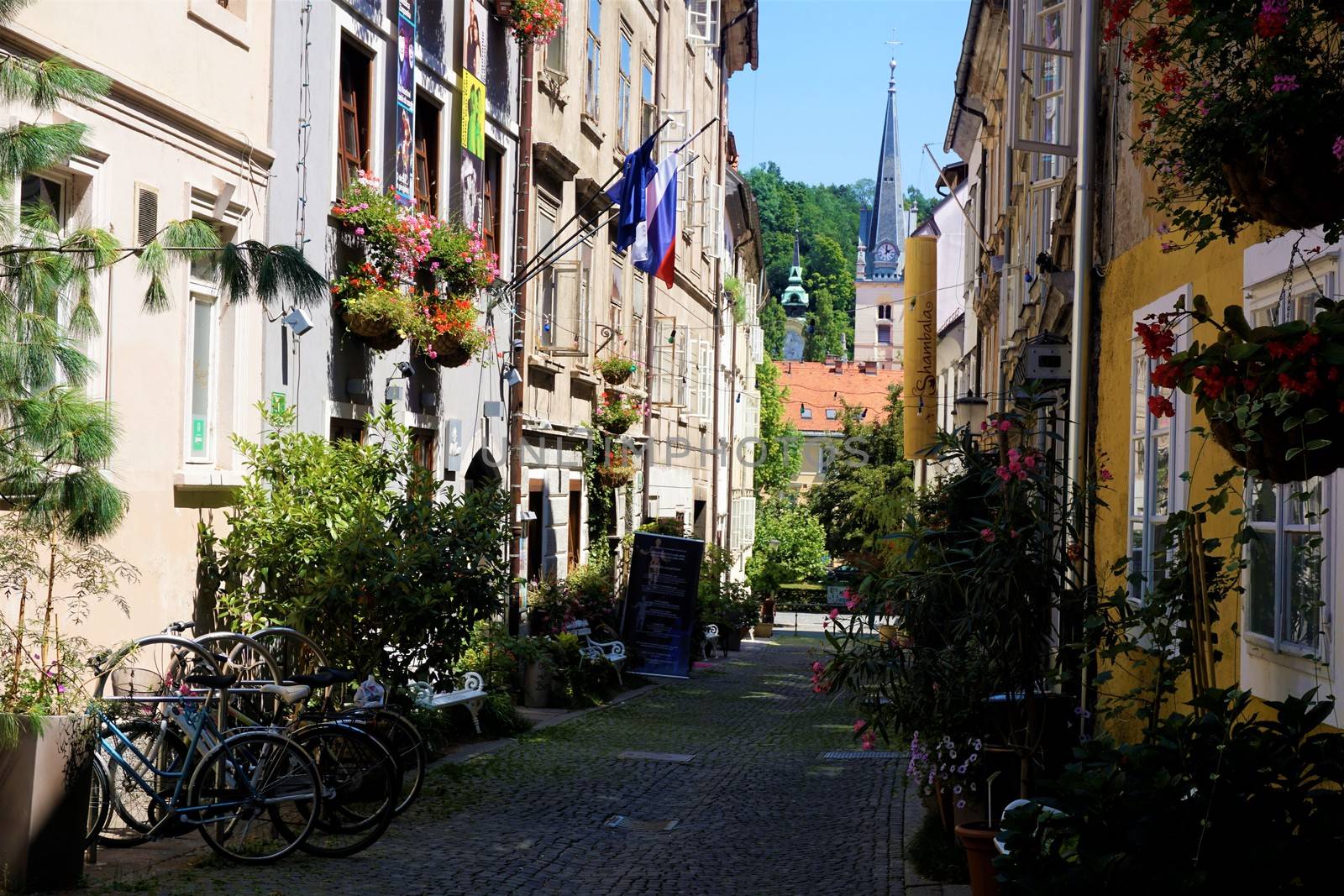 Beautiful Krizevniska ulica in the city center of Ljubljana, Slovenia