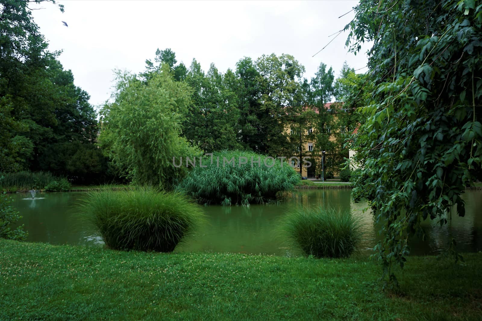 A typical scenery in Maribor mestni park, Slovenia