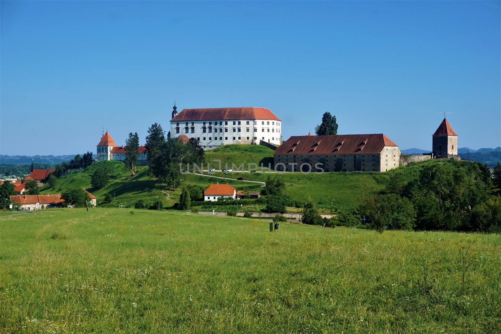 View over a meadow to the old town of Ptuj, Slovenia