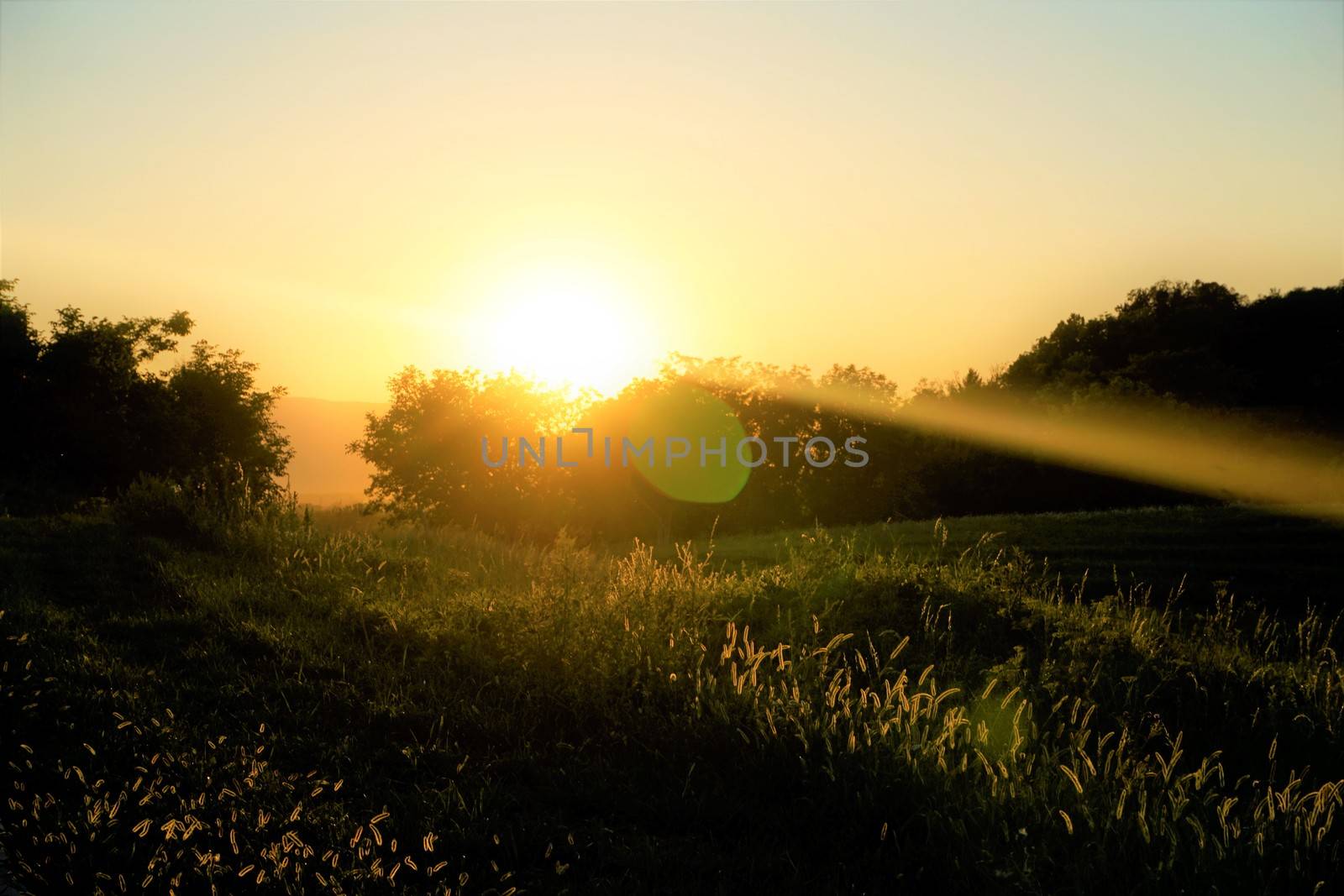 Sunset over meadow and trees in Ptuj, Slovenia