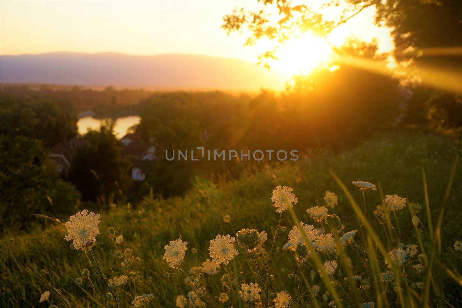 Sun setting over nature near Ptuj by pisces2386