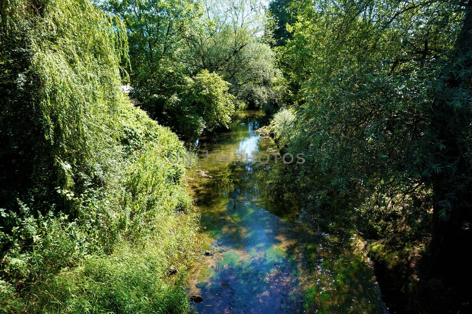 Wild Krka river in Kostanjevica na Krki by pisces2386