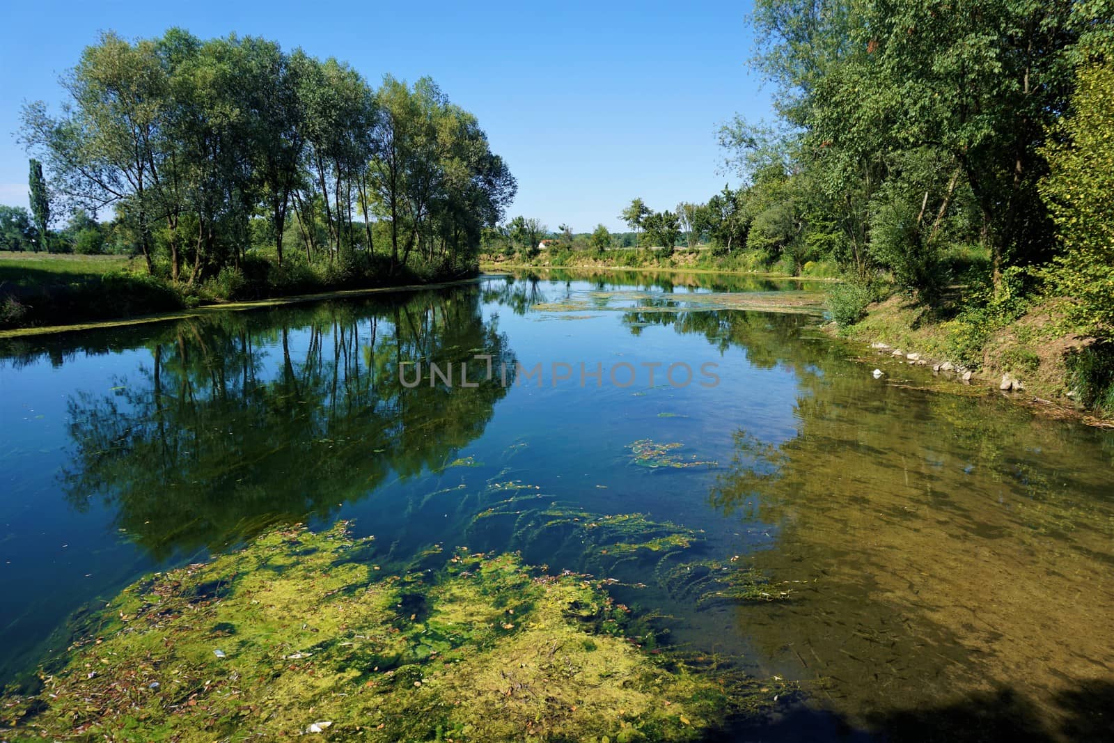 Calm Krka river in Kostanjevica na Krki by pisces2386