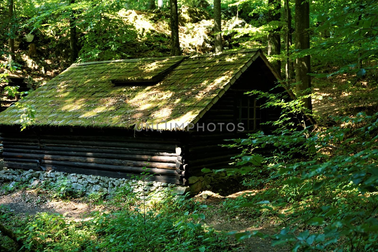 Abandonned house in the forest of Kocevski rog, Slovenia