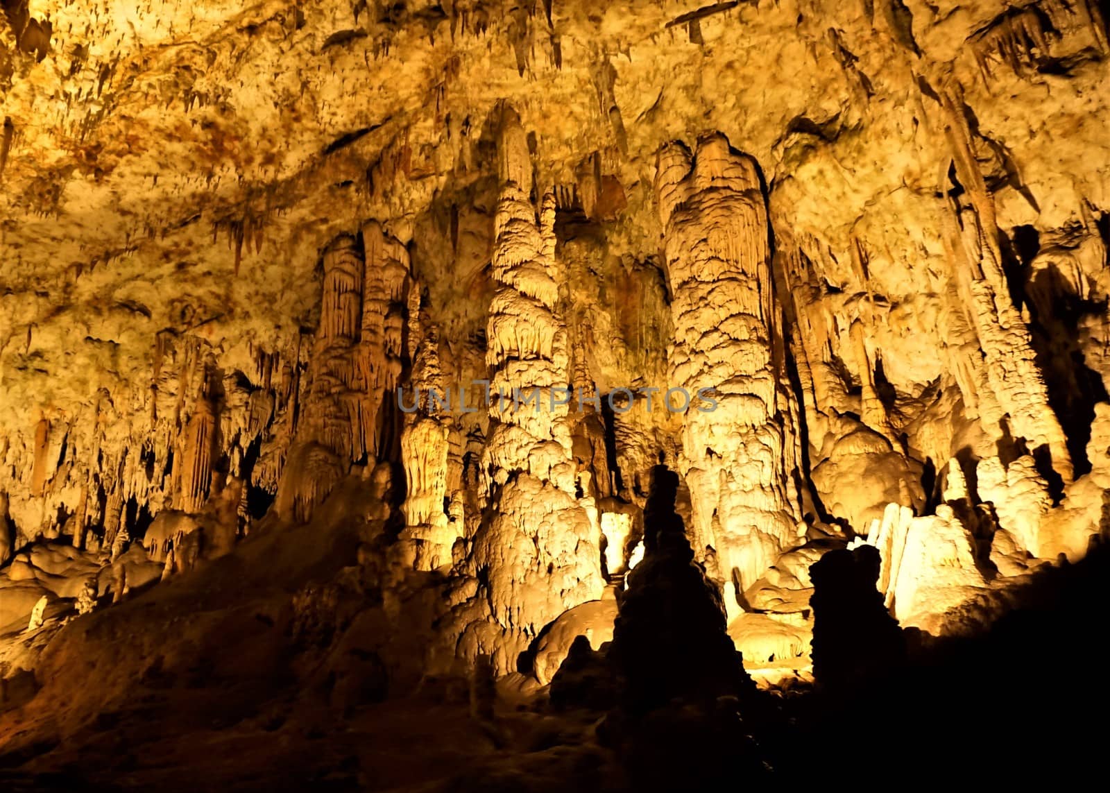 Impressive dripstone columns in the Postojna caves, Slovenia