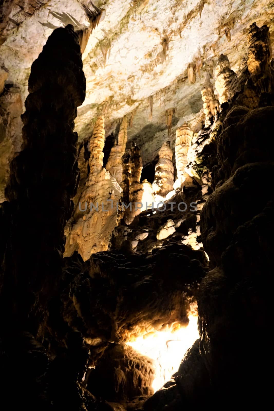 Impressive dripstone colums from hell in the Postojna caves by pisces2386