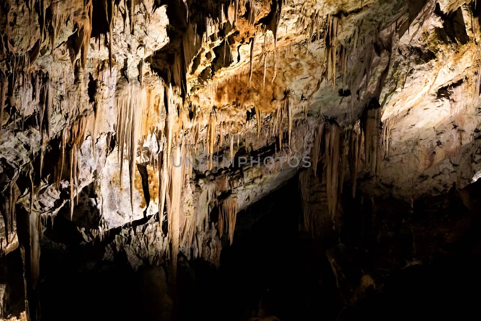 Spiky stalactites in the Postojna caves, Slovenia