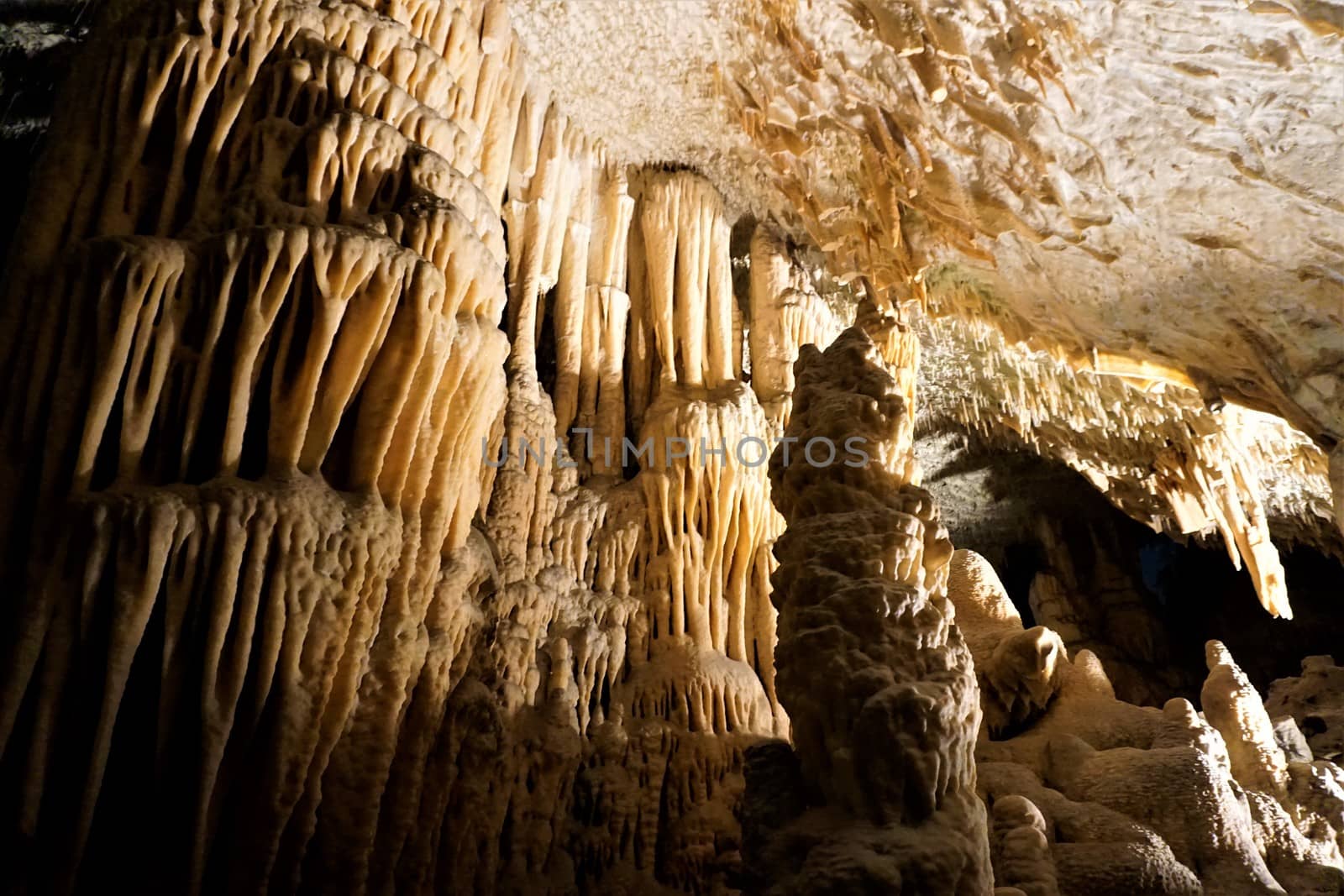 Different kinds of stalactites and stalagmites in the Postojna cave by pisces2386