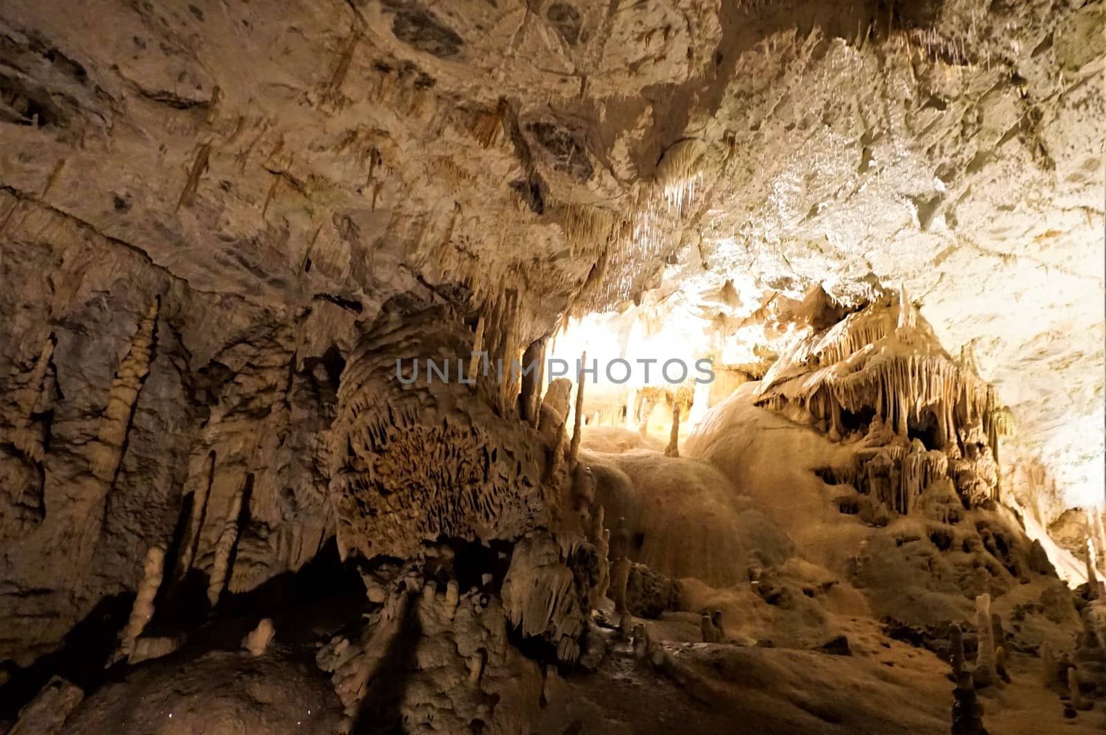 Surreal dripstones in the Postojna cave, Slovenia