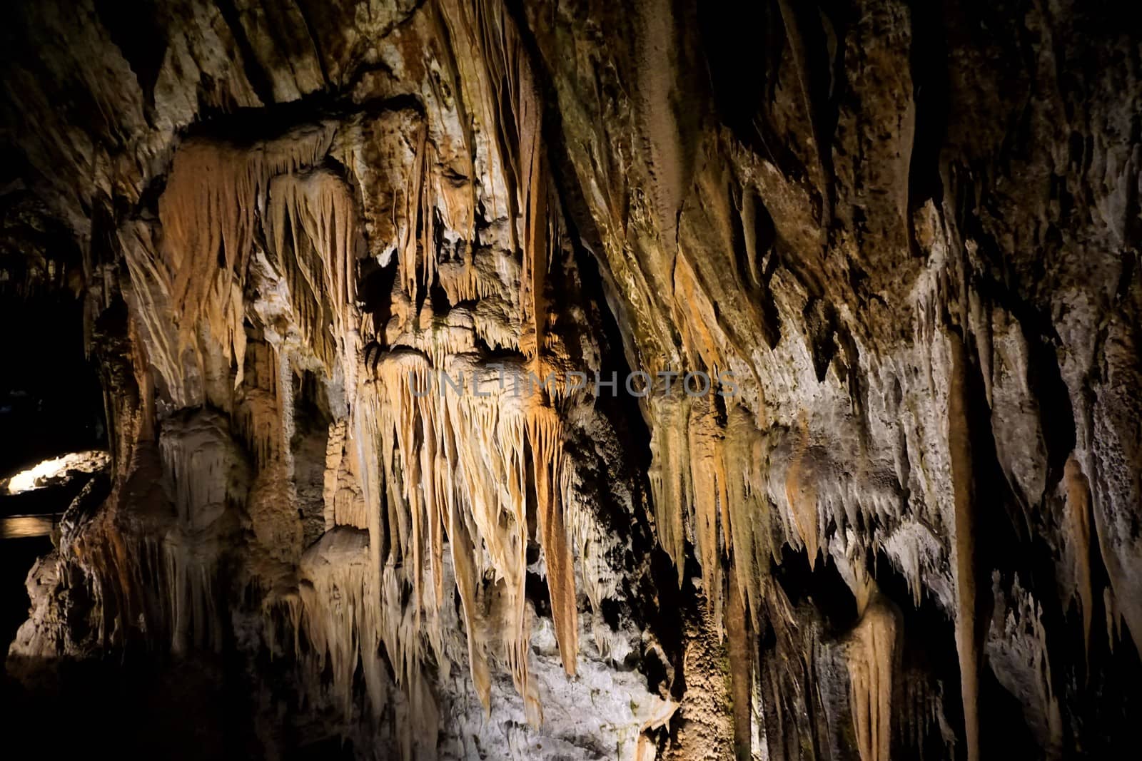 Spiky stalactites in the Postojna cave, Slovenia