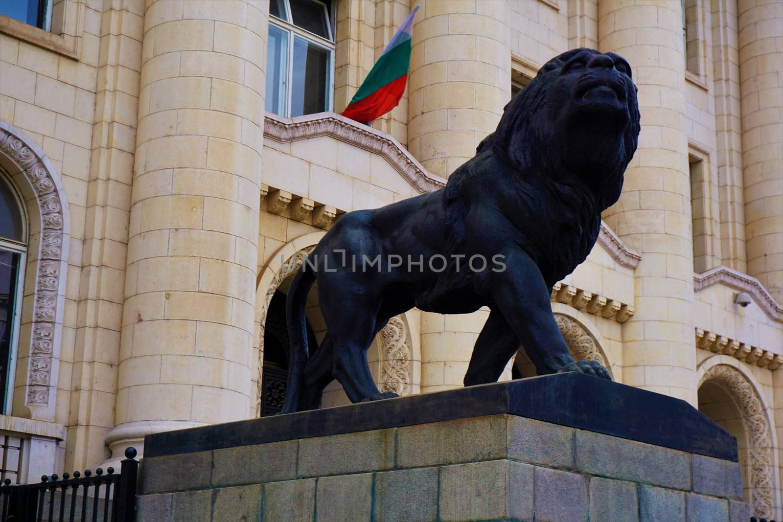 Lion in front of the palace of justice in Sofia by pisces2386