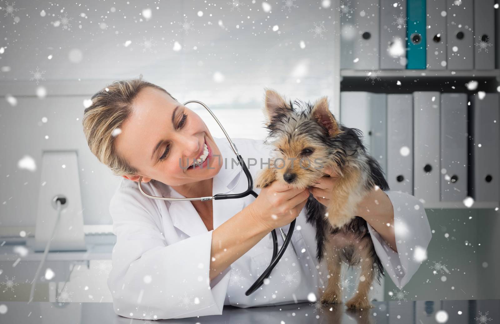 Veterinarian checking dog with stethoscope against snow falling