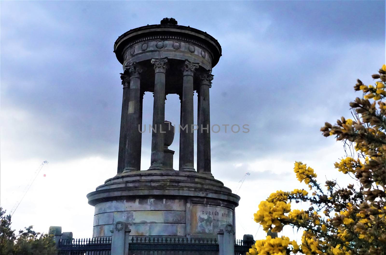 Dugald Stewart Monument on Calton Hill with yellow blossoms, Edinburgh by pisces2386