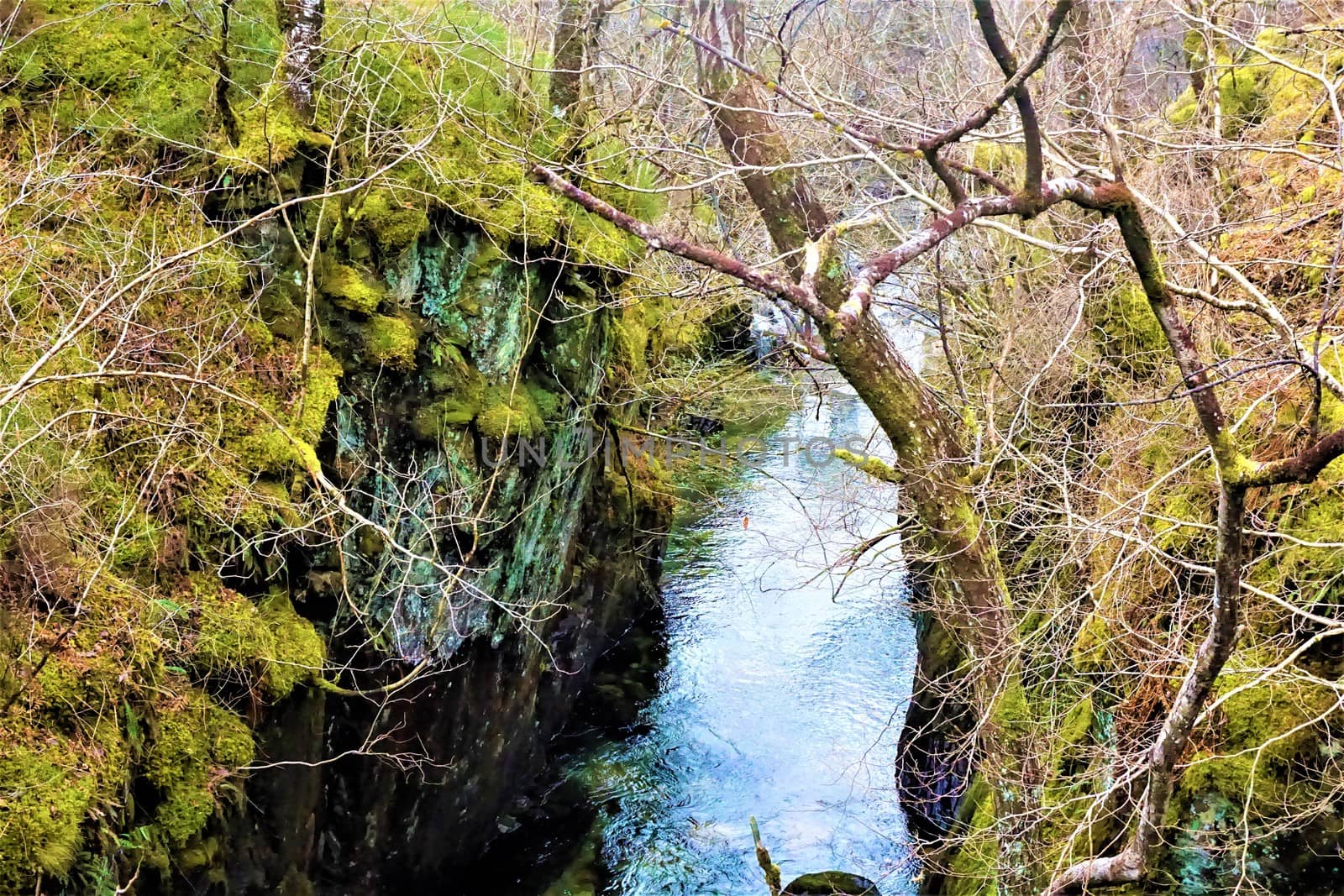 Feral part of tranquil river Coe, Ballaculish Scotland