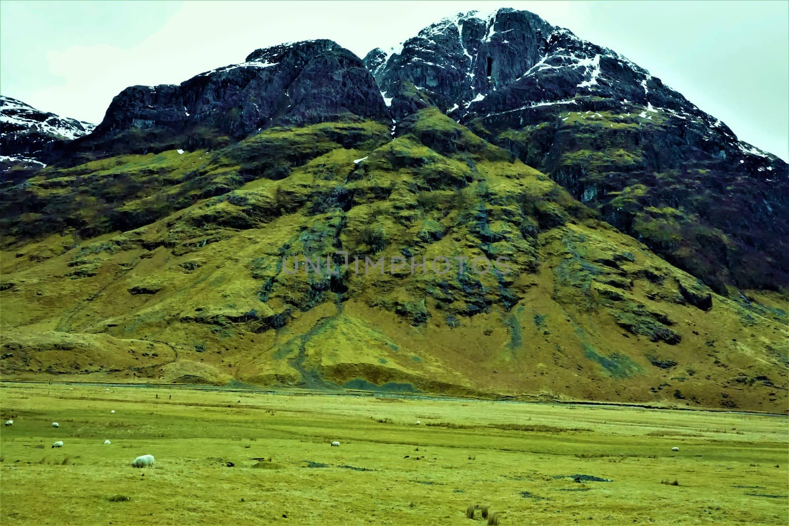 Highland view over green grass to the Three Sisters, Ballaculish