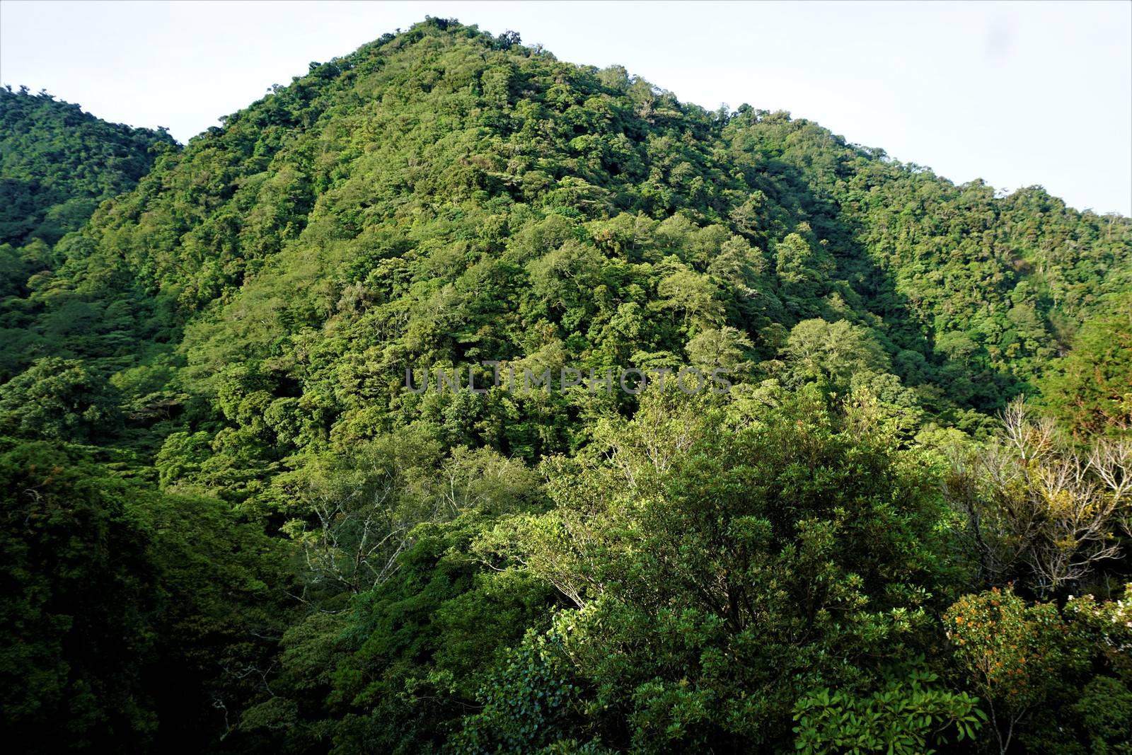 Juan Castro Blanco National Park, Costa Rica hills on sunny morning