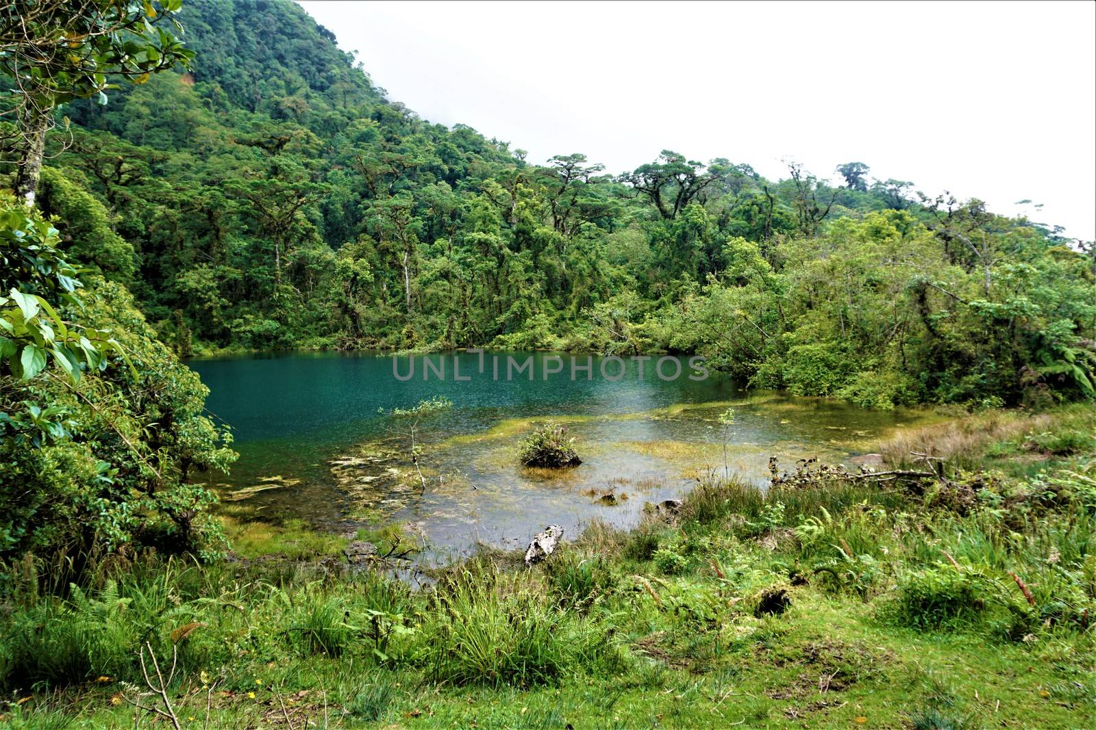 Beautiful Pozo Verde in Juan Castro Blanco National Park, Costa Rica