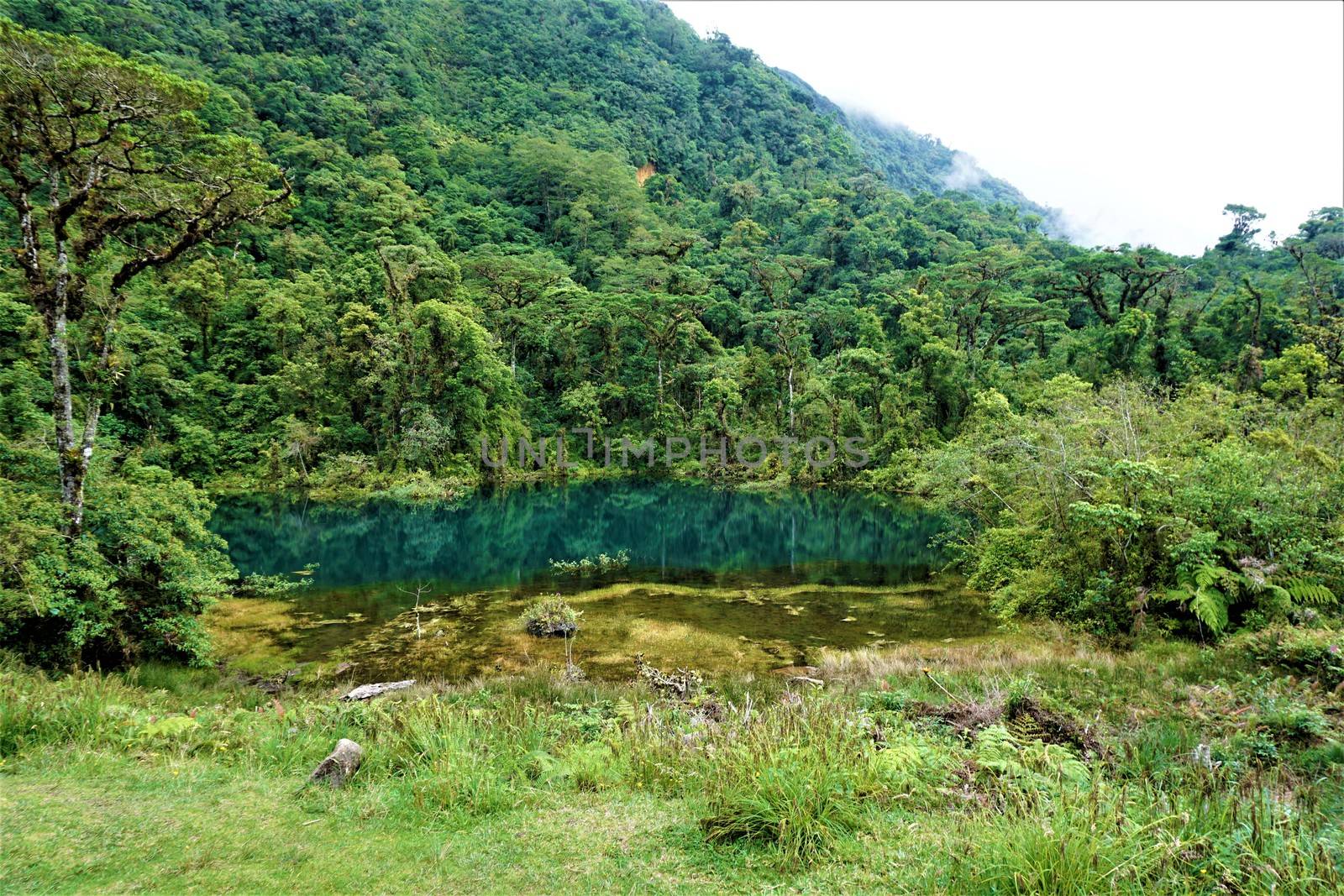 Pozo Verde and cloud forest in Juan Castro Blanco National Park by pisces2386