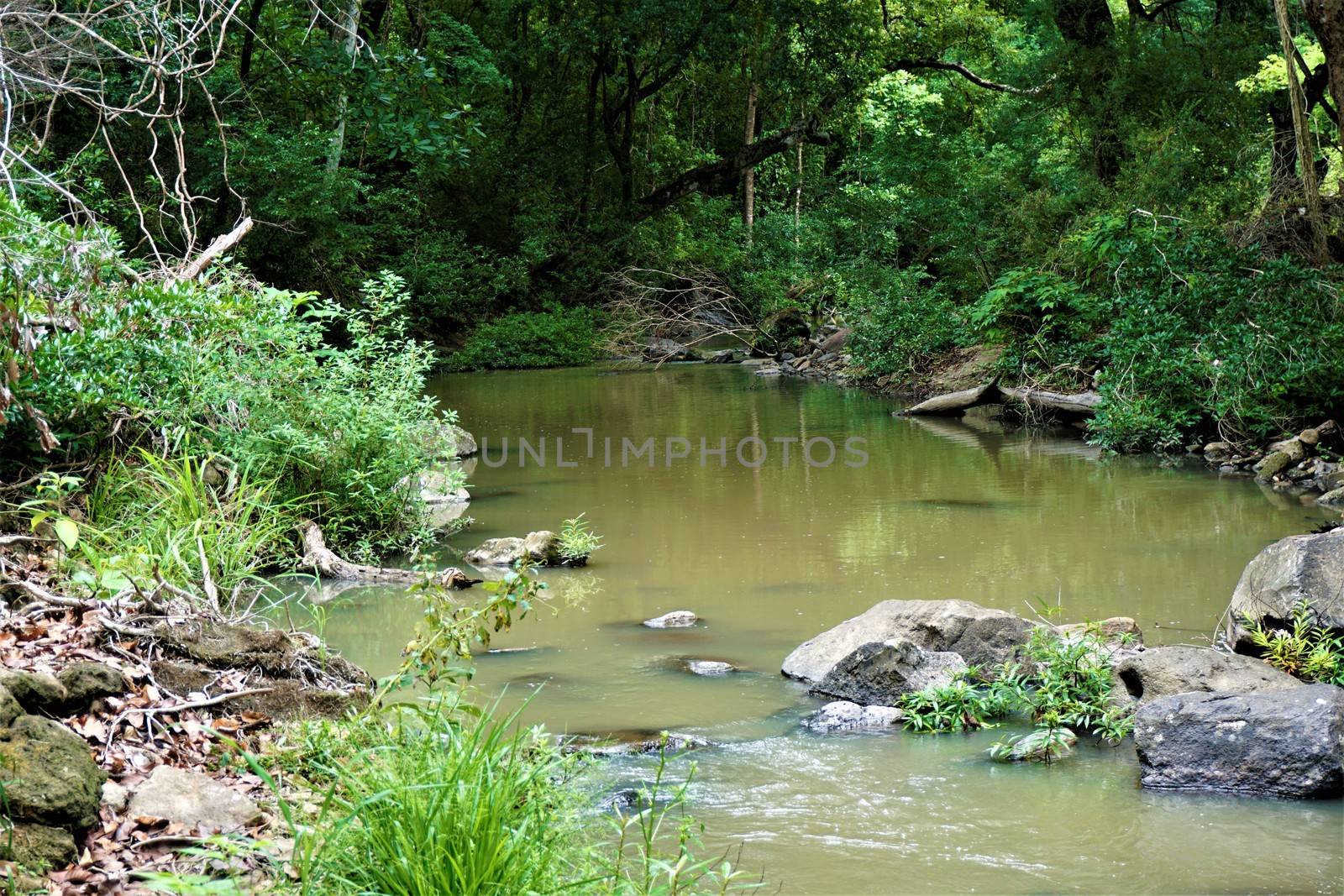 Riverbank in the Lomas de Barbudal Biological Reserve, Costa Rica