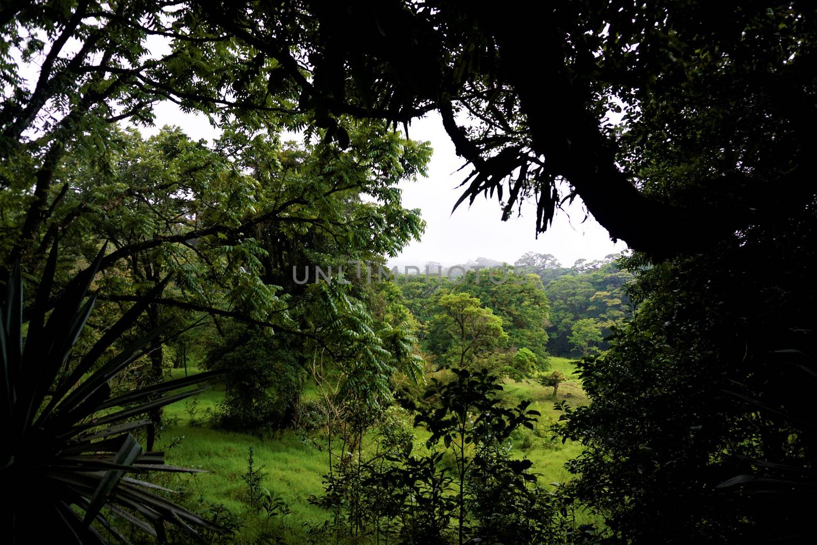 Beautiful scene in the Curicancha Reserve, Costa Rica