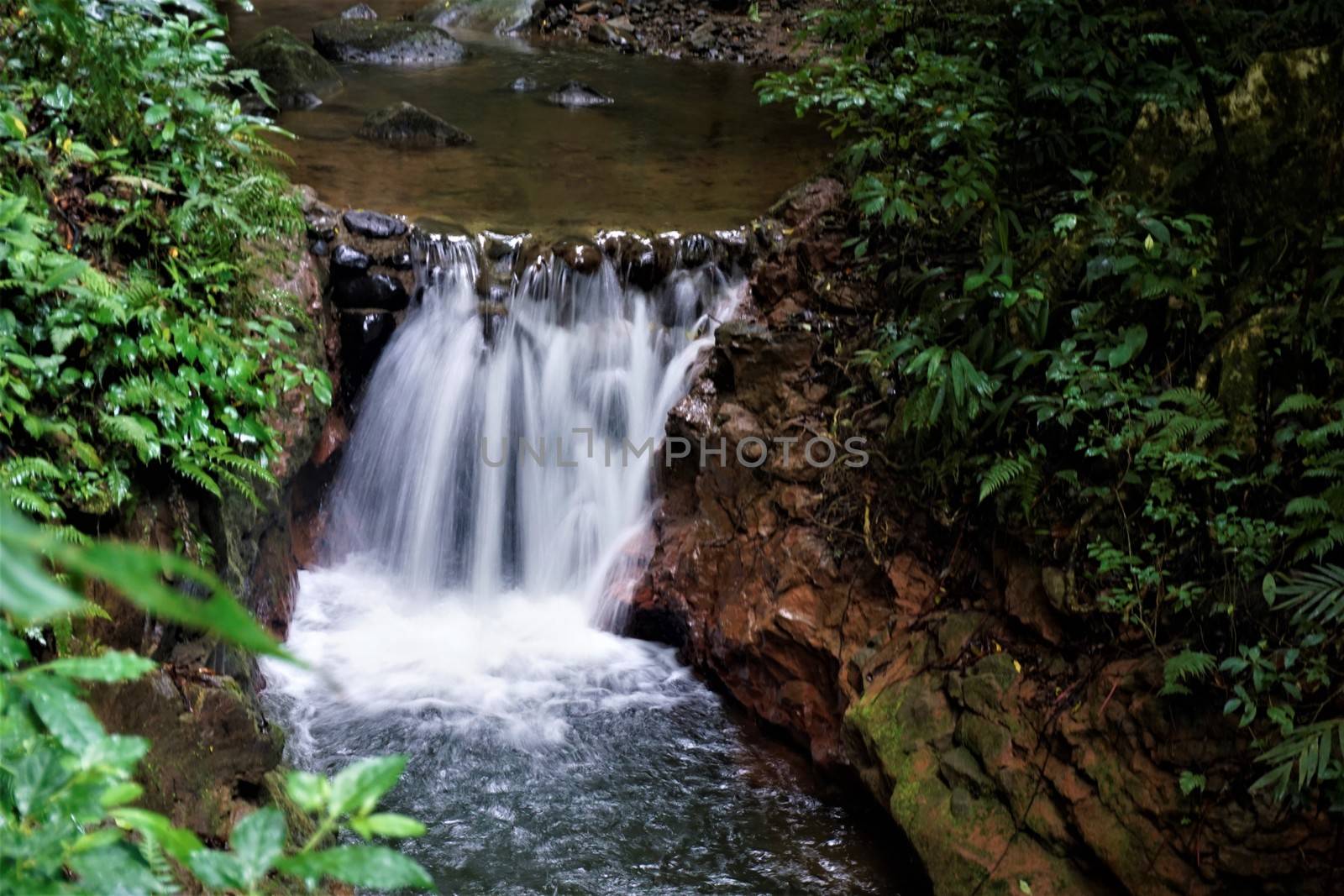 Small waterfall in the Monteverde cloud forest by pisces2386