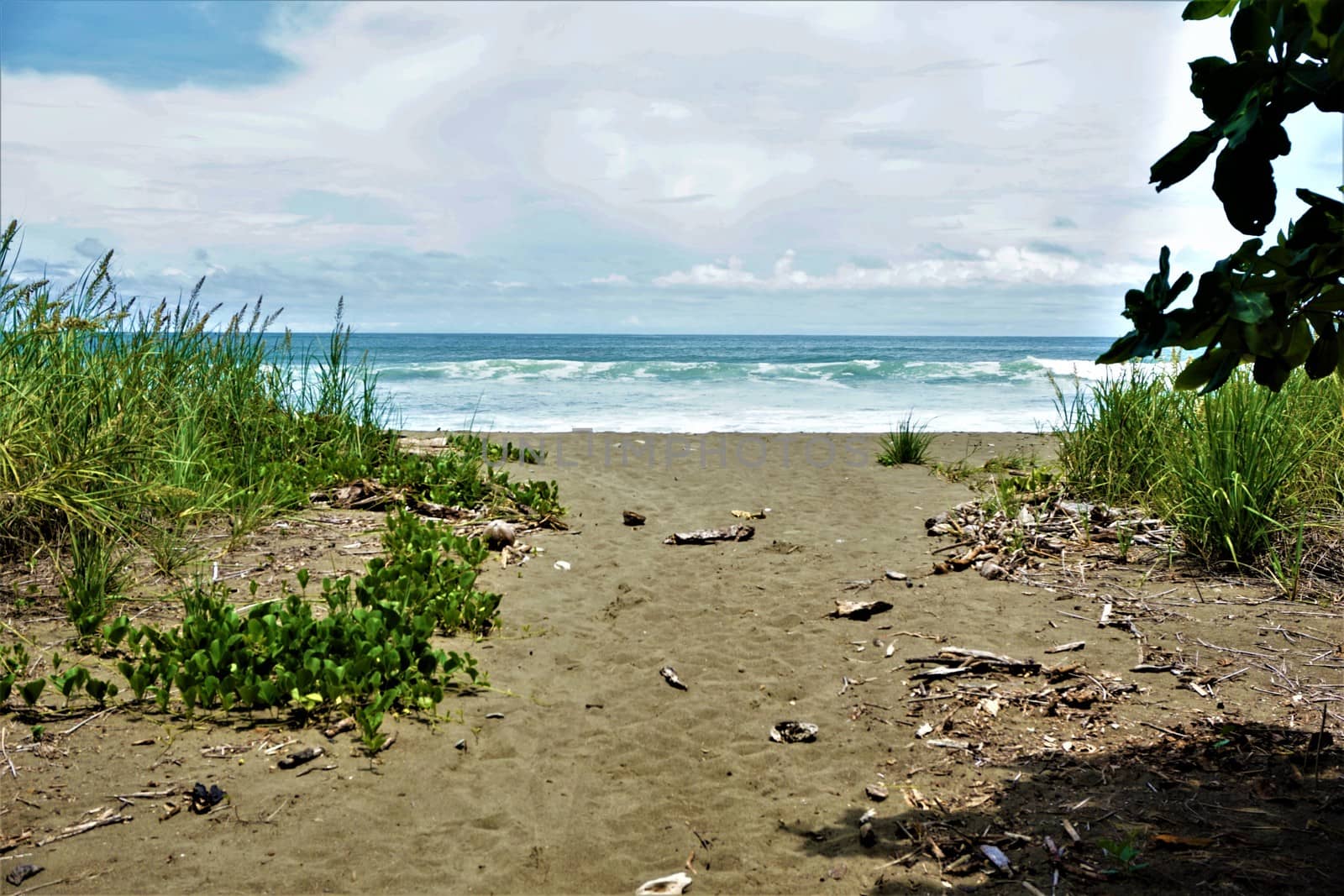 Dominical Beach of Hacienda Baru, Costa Rica