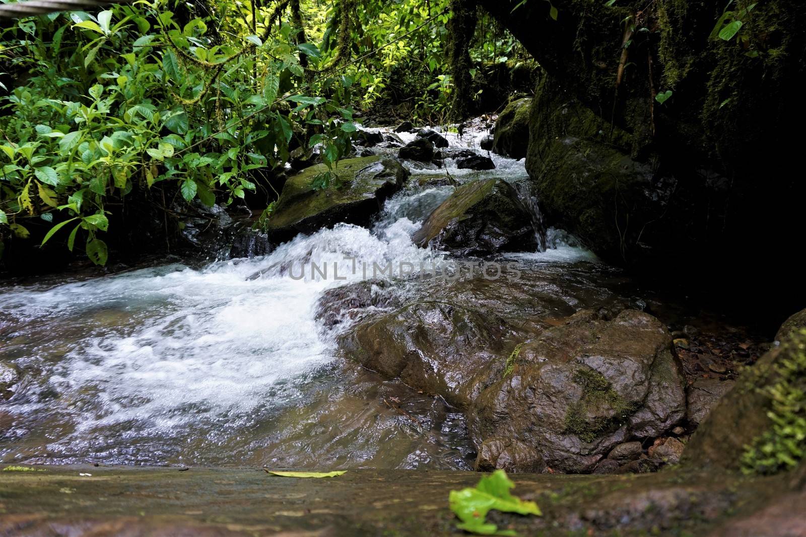 Rocks in small river spotted in Las Quebradas Biological Center, Costa Rica