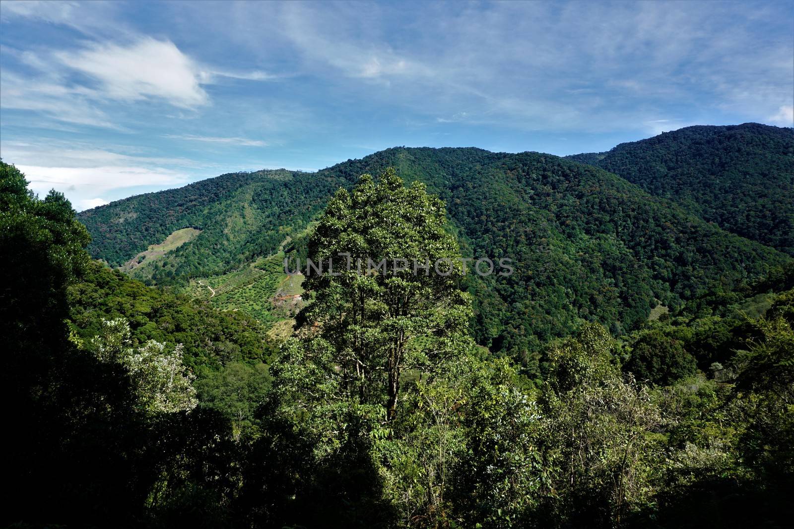 Beautiful view on the hills surrounding San Gerardo de Dota, Costa Rica