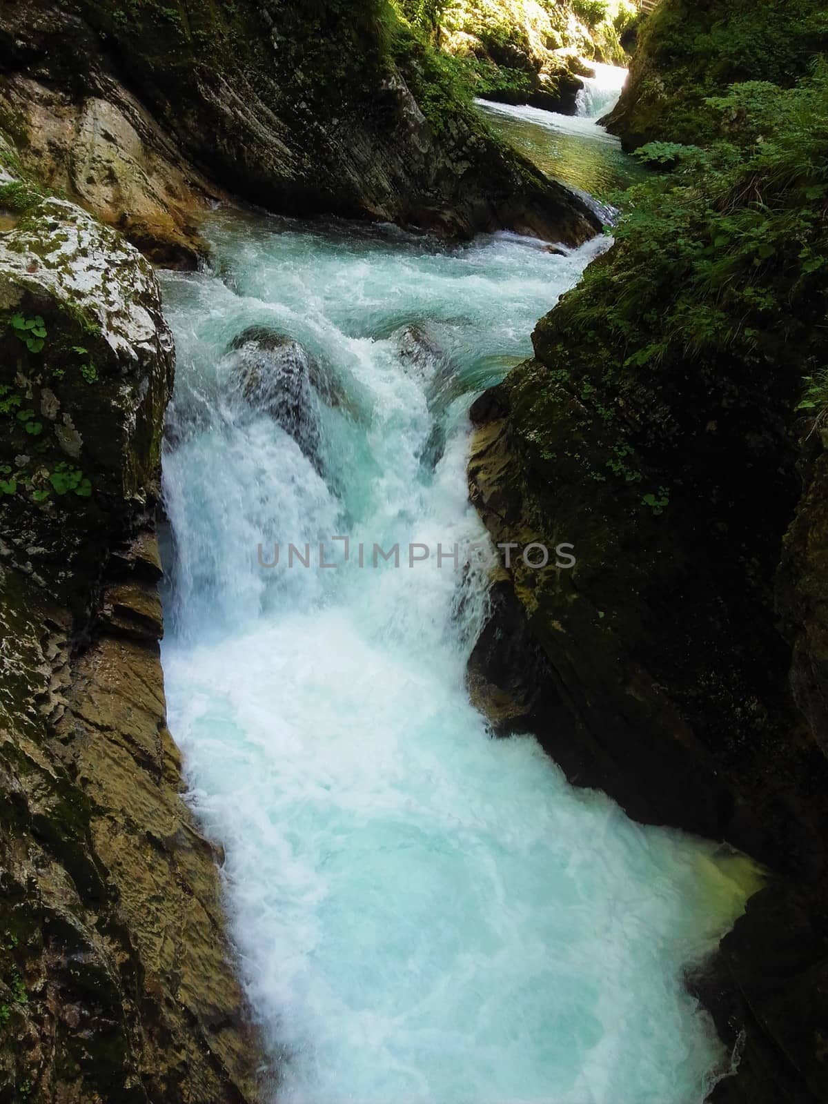 Wild part of Radovla river in the Vintgar Gorge near Bled, Slovenia