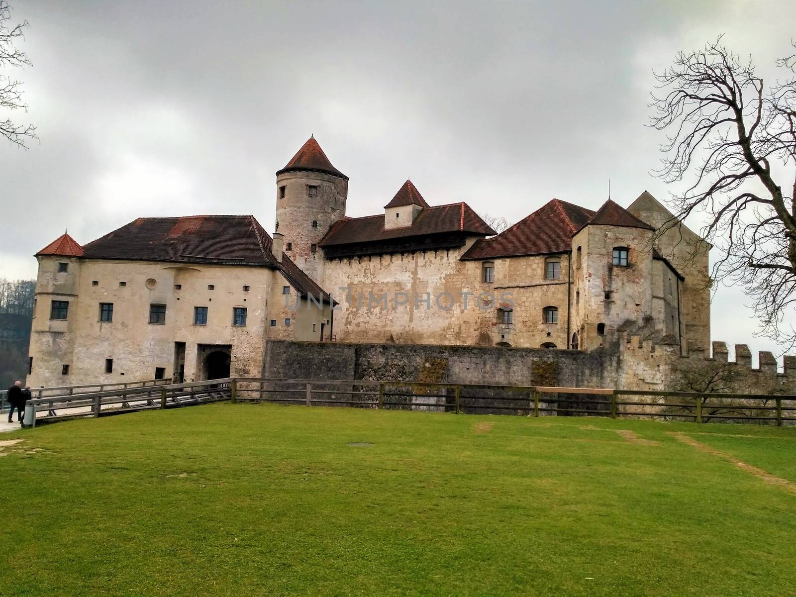Castle Burghausen on rainy day with tree and meadow