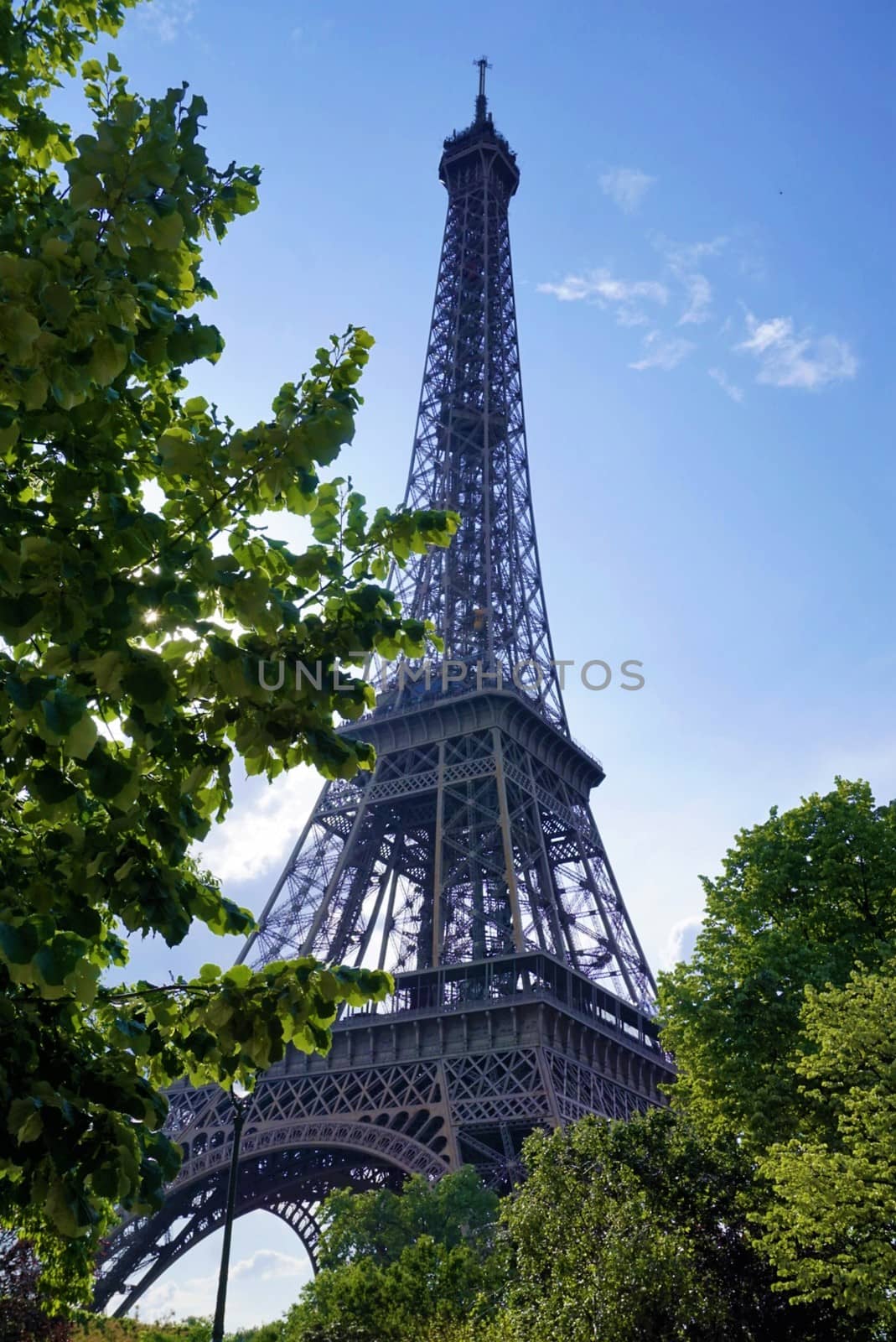 Eiffel tower in front of blue sky behind trees